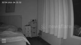 Mum at “breaking point” after three years of mice terrorising her in her home
