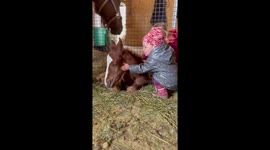 Two little sisters adorably play with a 1week old baby horse.