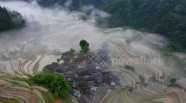 Gabang Rice Terraces In Congjiang, China