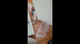 MESS galore after kid's fight with Sudocrem spills throughout the room