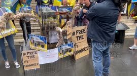 Free the Hawkei rally In Sydney, Australia