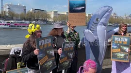 Protest outside Sea Life aquarium against animal captivity