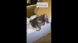 A little Update on baby Moises! He’s doing perfectly fine and is very playful!