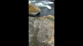 Lucky man survives near-death experience in Rostov Region River