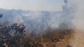 fire on the rice fields in India .Open fire at rice paddy field causing air pollution