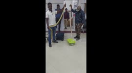 A lady flied with pythons, anacondas and kingsnakes from kualalampur to chennai, seized at chennai airport