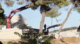 Palestinians collect trees after they have been cut down by the Israeli municipality in Sheikh Jarrah neighborhood east Jerusalem