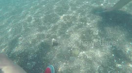 Turkish boat trip. Turkish guide finds a sea urchin for us to see.