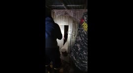10 ft long python was released from a chicken coop after preying on local livestock in Indonesia