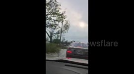 US: Cars Flipped, Trees Downed After Tornado Touches Down In Palm Beach Garden, Florida 3