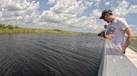 Florida Alligator Takes a Chomp at a GoPro Tied to Fishing Line