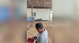 Storm tears roof from building as heat wave gives way to torrential rain in central Thailand