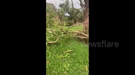US: Cars Flipped, Trees Downed After Tornado Touches Down In Palm Beach Garden, Florida 4