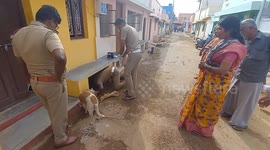 Firefighters rescue puppies after mother dog heard crying near drainage canal in India