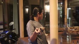 Python with swollen belly from eating pet cat is caught in Thailand