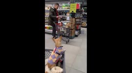 Close call: dog jumps from cart in Kyiv grocery store