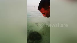 Nemo fish leaps from water to kiss man's forehead