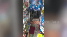 Wild monitor lizard rampages through supermarket in Thailand