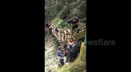 Tourists injured by falling tree in southern Chinese scenic spot