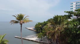 Santa Marta Sea birds fly away shot by cinematographer mike niche