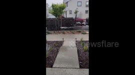 US: Isolated Thunderstorm Brings Heavy Rains, Hail To San Francisco Bay Area