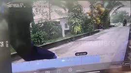 Wild elephant in heat charges at fleeing policeman while tearing through neighbourhood in Thailand