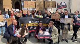 Chris Packham joins Justice For Chickens protest outside High Court