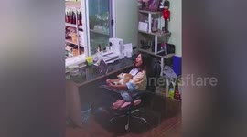 Funny pet cat pretends to die after biting owner