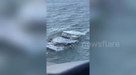 Dog rescued from sinking boat off Georgia coast