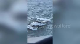 Pet dog tied to sinking boat rescued by coast guards in Georgia, United States