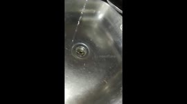 Waterdrop reflects the lights in my basin that looks like beautiful tiny light balls