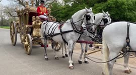 Ride like a king in London in Uber's lavish horse-drawn coronation carriage