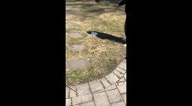 Boys try the viral Egg-splosion challenge; get 'blown away' by the result