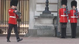 Buckingham Palace guard slips and falls in front of hundreds of tourists