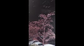 Snow blowing against tree nighttime England UK