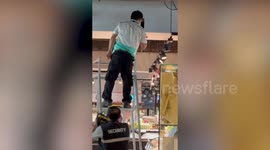 Litter of kittens rescued from shopping mall ceiling in Bangkok
