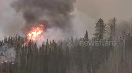 Wildfire in Alberta. Filmed May 5, 2023 near Brazeau Dam.
