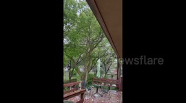 US: Severe Storms Bring Damaging Winds, Large Hail To Central Illinois