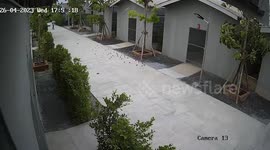 Wild snake terrorises pet birds as it slithers across cages at farm in Thailand
