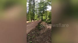 Mountain biker goes head-over-handlebars while taking on dirt trail in England