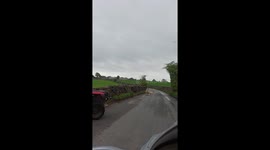 Sheep in the middle of the road Yorkshire Dales