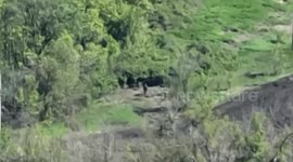 Ukrainian artillery takes out Russian mortar on the frontlines