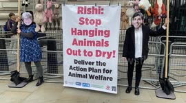 PETA protesters dressed as Environment Secretary Thérèse Coffey and Prime Minister Rishi Sunak hang stuffed animals on a clothes line outside Downing Street