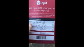 Cat Guards Your Packages
