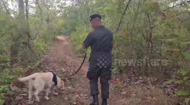 Police search for missing girlfriend, 16, of British teenager murdered in Thailand
