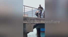 Kind Thai worker dives into sea to help retrieve tourist's iPhone