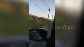 Wild elephant strolling on roadside slows down traffic at mountain pass in Thailand