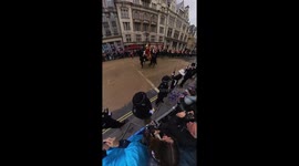 Rogue Horse At The Coronation