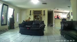 Security Camera Captures Kitchen Fire