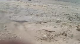 Chuva forte transforma minha rua em um rio: filmagem da enchente em frente à minha casa